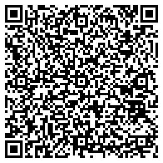 QR-код с контактной информацией организации Публичное акционерное общество Ваш Дом