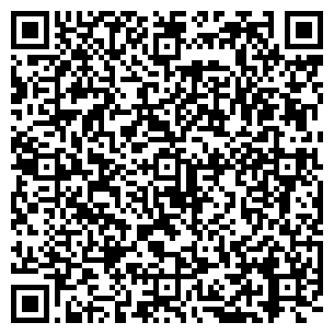 QR-код с контактной информацией организации Шоу Театр Домино