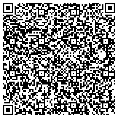 QR-код с контактной информацией организации Детское научное Шоу сумасшедшего профессора Николя - Донецк