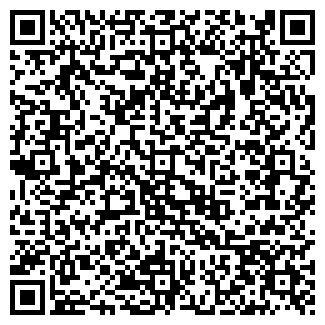 QR-код с контактной информацией организации ИП "Улыбка"