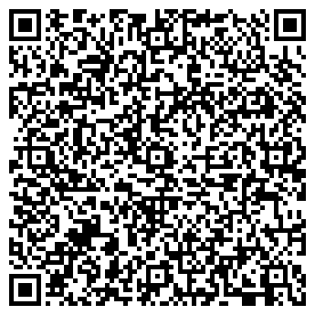 QR-код с контактной информацией организации Шарик на Праздник, ЧП