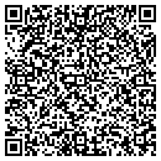 QR-код с контактной информацией организации Субъект предпринимательской деятельности SFX