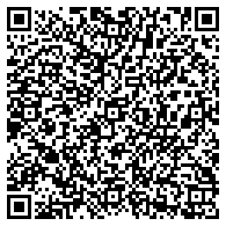QR-код с контактной информацией организации Караоке Про
