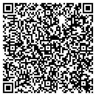 QR-код с контактной информацией организации Libero Festa