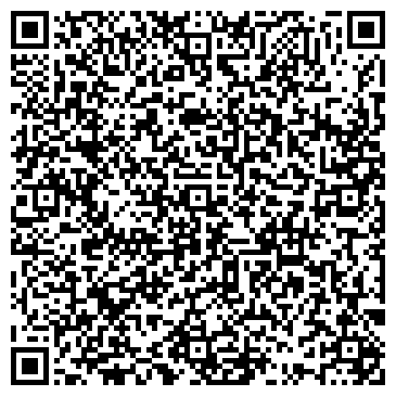 QR-код с контактной информацией организации Детская школа искусств Надежда