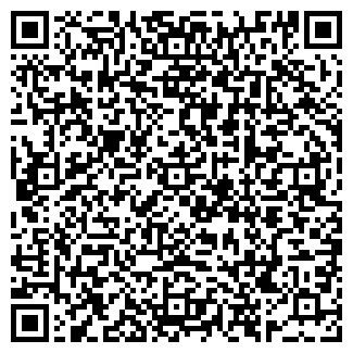 QR-код с контактной информацией организации Грузоперевозки Киев (Пчелка, ООО)
