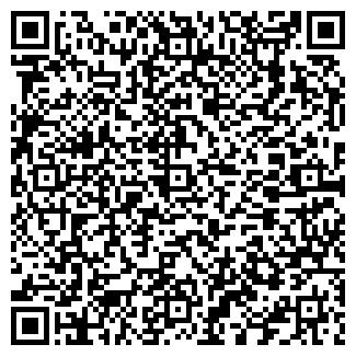 QR-код с контактной информацией организации ИП Шишмарев