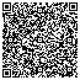 QR-код с контактной информацией организации «Веснянка»