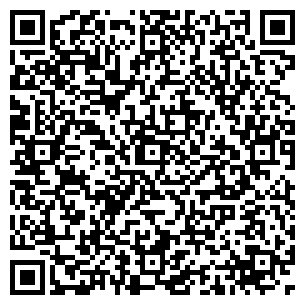 QR-код с контактной информацией организации Родикс, ТОО