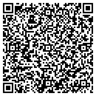 QR-код с контактной информацией организации Совместное предприятие KING MOTORS