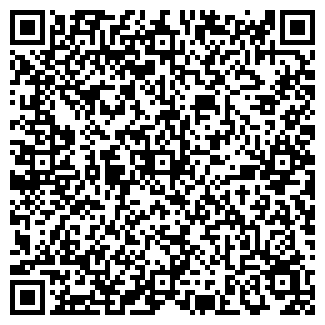 QR-код с контактной информацией организации Общество с ограниченной ответственностью MZ Gesheft