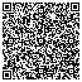QR-код с контактной информацией организации ИП Бурмако С.Н.