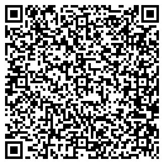 QR-код с контактной информацией организации ИП "Смолеев"