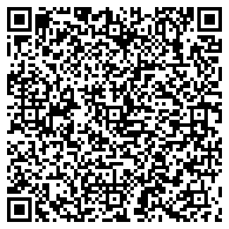 QR-код с контактной информацией организации ДОЛЖИКОВ ИП