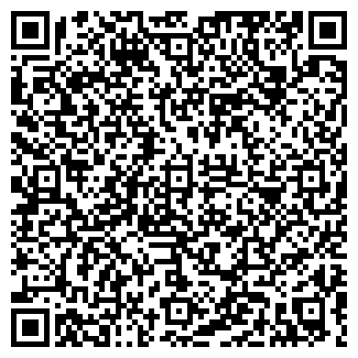 QR-код с контактной информацией организации Субъект предпринимательской деятельности ГрузТонна