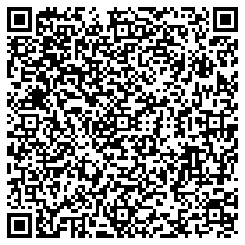 QR-код с контактной информацией организации Строй-Дом, компания