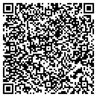 QR-код с контактной информацией организации Романенко, ЧП