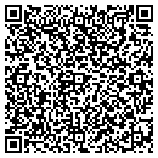 QR-код с контактной информацией организации Спутник, ЧП