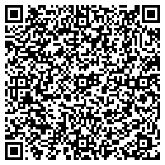 QR-код с контактной информацией организации ПИРО МИР