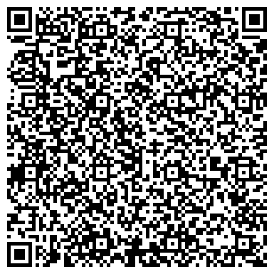 QR-код с контактной информацией организации Чайкин Б.А., СПД (Аркадия Джеймс)
