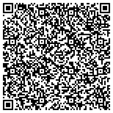 QR-код с контактной информацией организации Интернет магазин Эмоции, ЧП (EMOZZI)
