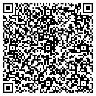 QR-код с контактной информацией организации Домино, Шоу театр