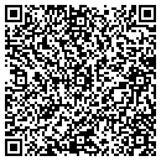 QR-код с контактной информацией организации Kidmag, ЧП