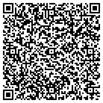 QR-код с контактной информацией организации Янтарь-Дар солнца, СПД (Прядко А.В.)