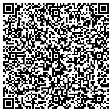 QR-код с контактной информацией организации Небесные Фонарики, Интернет-магазин