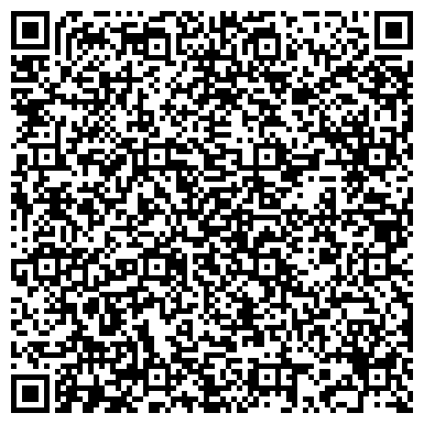 QR-код с контактной информацией организации Гин-Сервис, ЧП Туристическая Компания