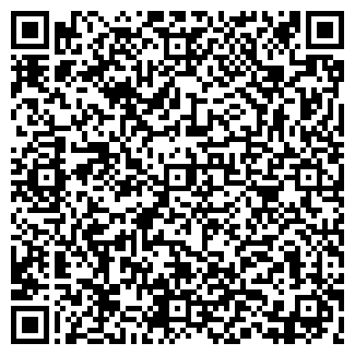 QR-код с контактной информацией организации Алиби, ЧП