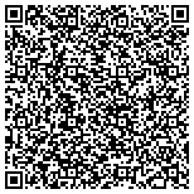 QR-код с контактной информацией организации Пилон Украина, Туристическая компания