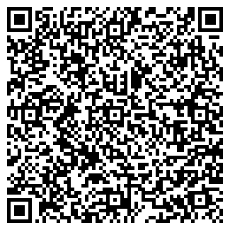 QR-код с контактной информацией организации Айтишник, СПД