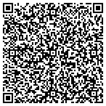 QR-код с контактной информацией организации Vladyko-Tour (Владыко-Тур ), ТОО