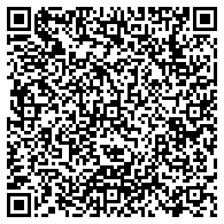 QR-код с контактной информацией организации Дом сайтов, ИП