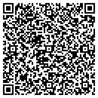QR-код с контактной информацией организации Бахур, ЧП