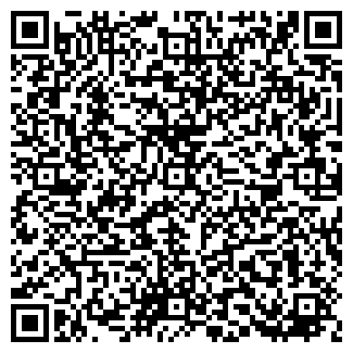 QR-код с контактной информацией организации Камины, ЧП