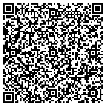 QR-код с контактной информацией организации Vista LS, Компания