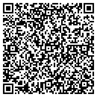 QR-код с контактной информацией организации Алтын дан, ИП