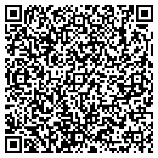 QR-код с контактной информацией организации Вилена, ТОО