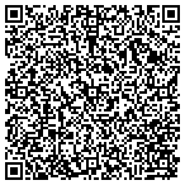 QR-код с контактной информацией организации Фейеш Силард Юлиевич, ЧП