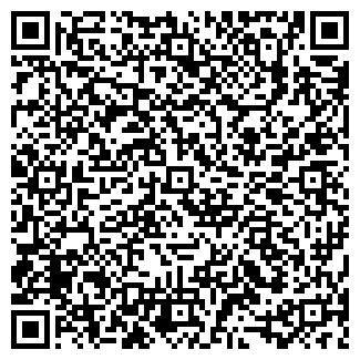 QR-код с контактной информацией организации Бородин, ИП