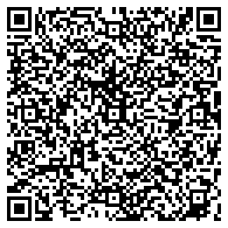 QR-код с контактной информацией организации Вилат, ЗАО