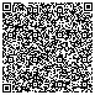 QR-код с контактной информацией организации Сад шариков Студия аэродизайна, ЧП