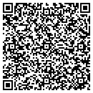 QR-код с контактной информацией организации Шынгыс, ИП