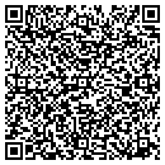 QR-код с контактной информацией организации Бахити, ЧП