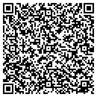QR-код с контактной информацией организации ИП Балюнов