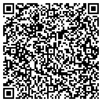 QR-код с контактной информацией организации Тесляры, СПД