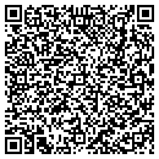 QR-код с контактной информацией организации Вирибус, ЧП