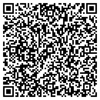 QR-код с контактной информацией организации Найнис, СПД